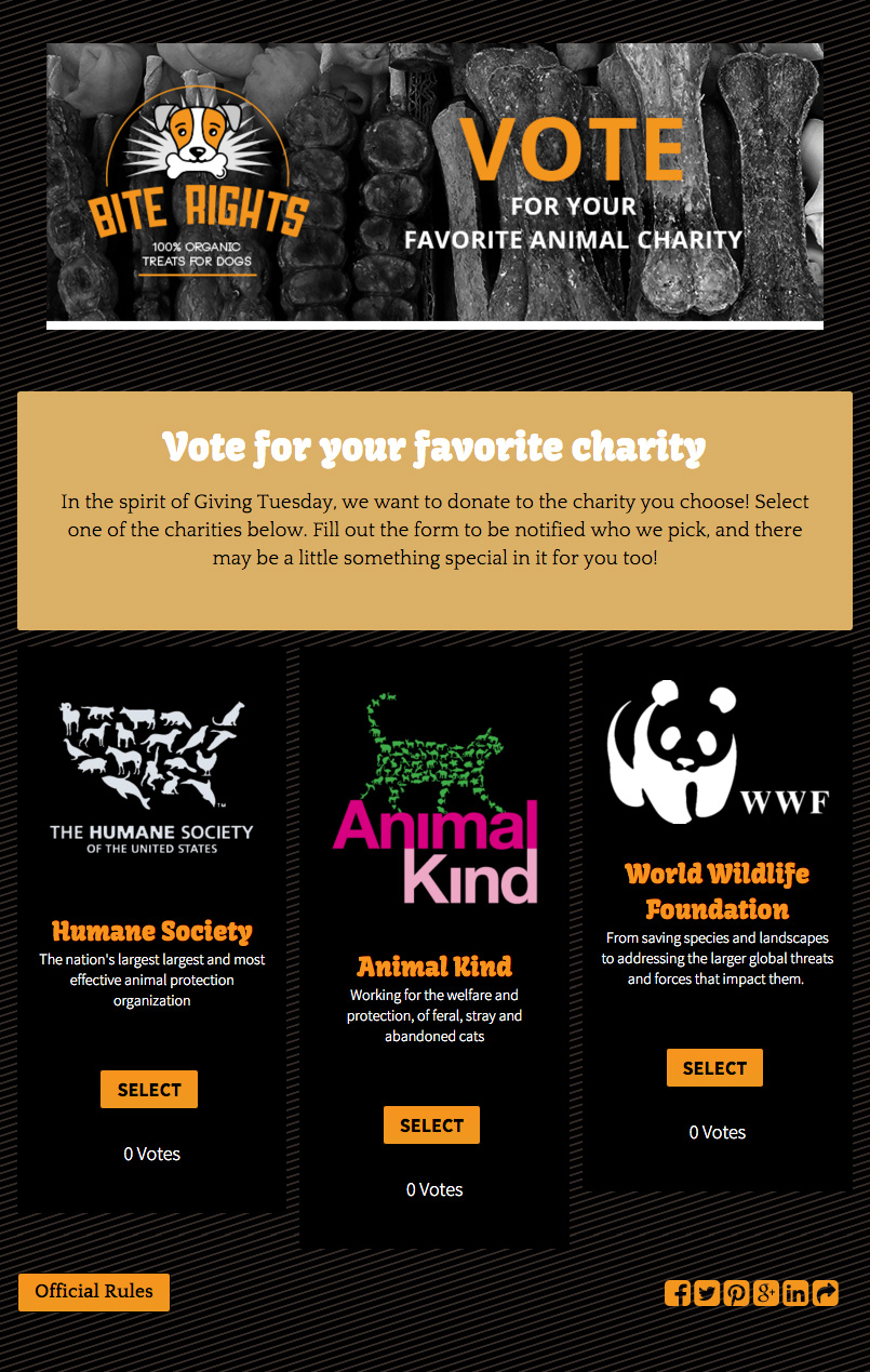 Giving Tuesday 2015