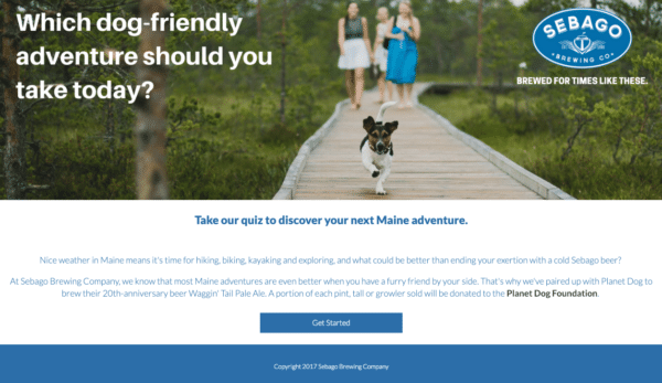 Identify Your Targets for Guide for Using Quizzes in Digital Marketing