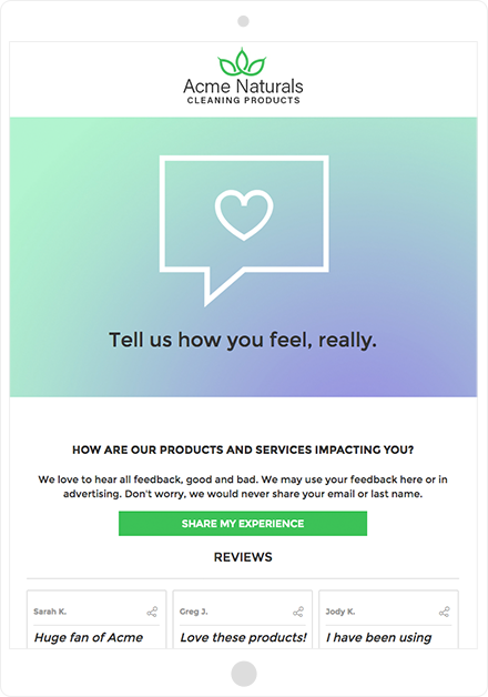 Review Collection Campaign
