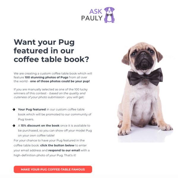 Ask Pauly for Profitable Social Media Contest