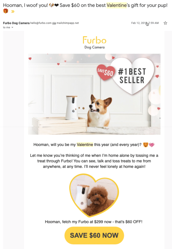 Create Leverage with Automation like Furbo for Holiday Momentum
