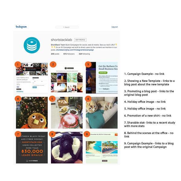 Instagram Post Examples