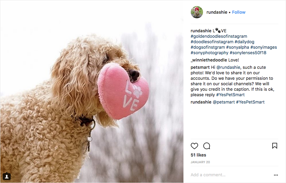 PetSmart peruses a variety of pet-related hashtags in search of images and asks for permission to use the images on their social channels.