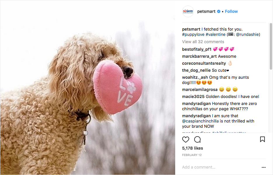 Once PetSmart has gotten permission from the user, they repost the photo with a new caption and give photo credit to the original poster.