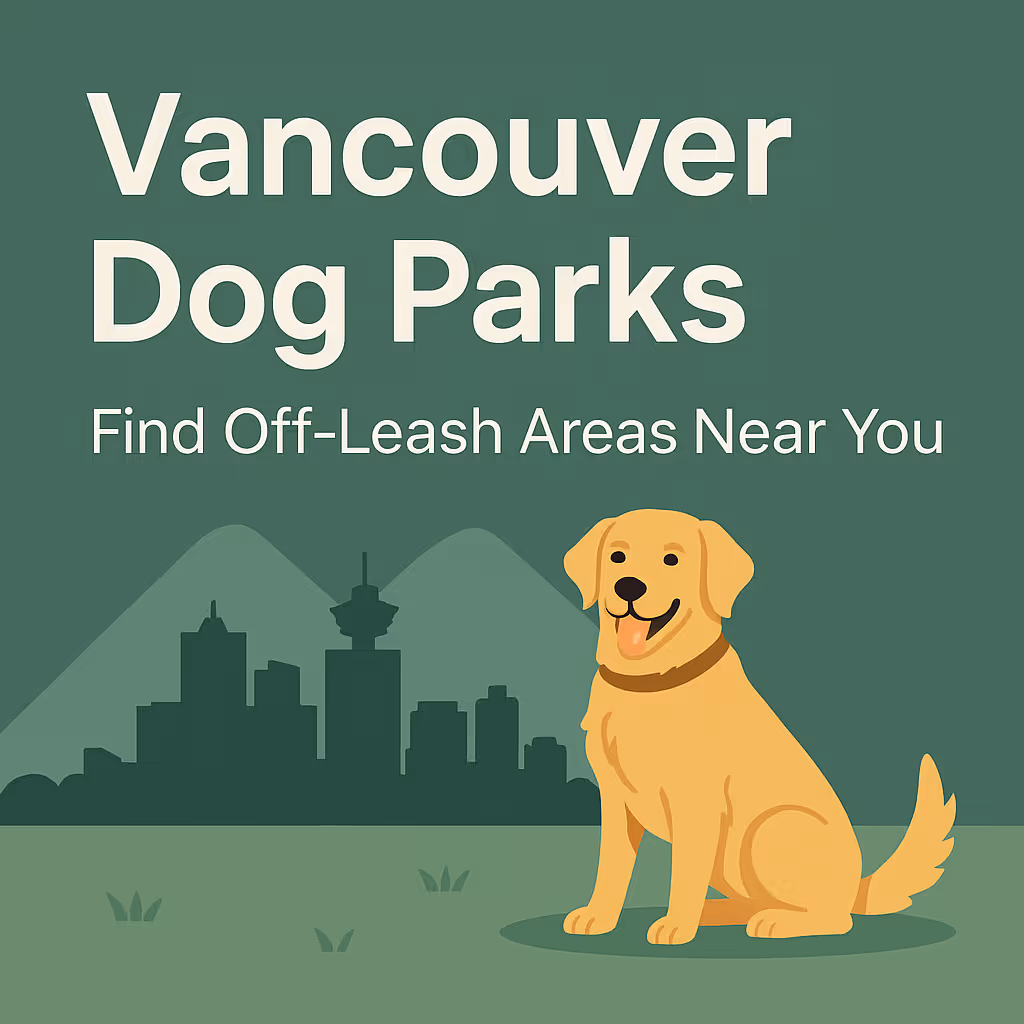 Dog playing off-leash at a beach in Vancouver BC