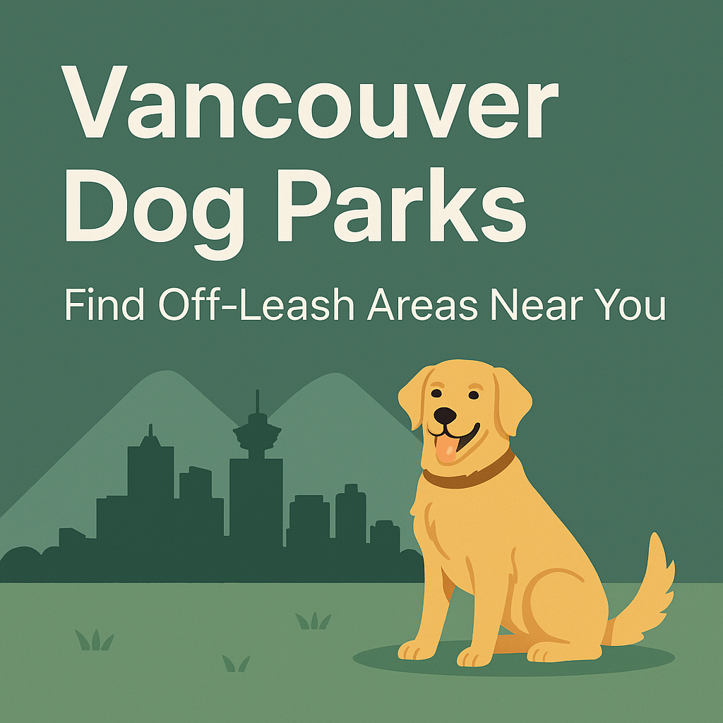 Dog playing off-leash at a beach in Vancouver BC