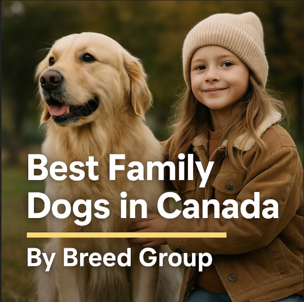 Golden Retriever sitting beside a smiling young girl in a Canadian park during autumn, representing the best family dogs in Canada by breed group.