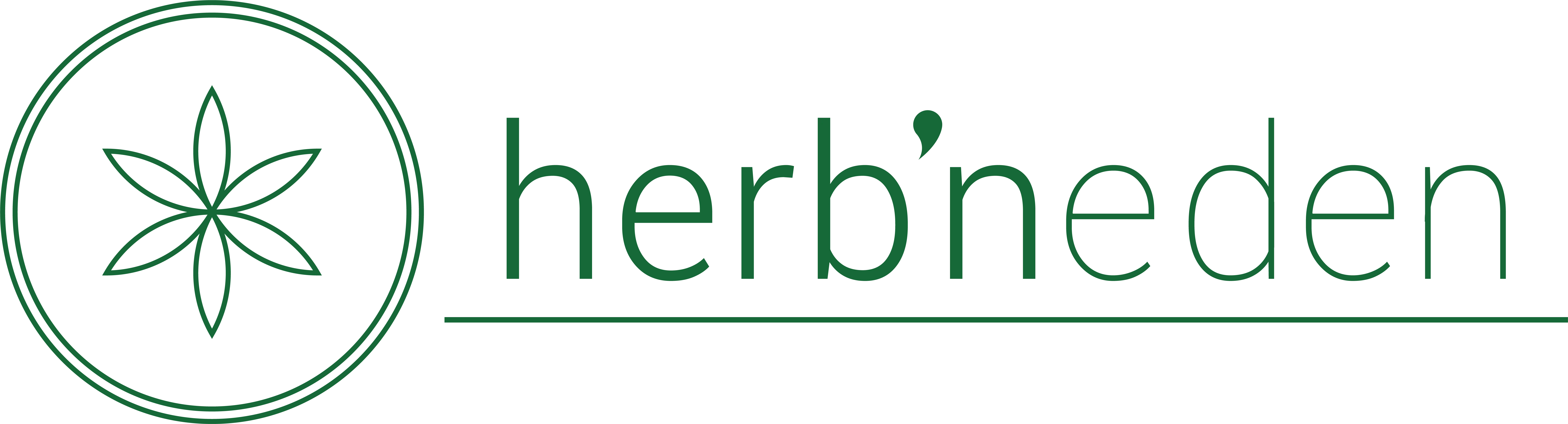 Logo of About You Family Medicine, a Med Firm client benefiting from Atlanta medical accounting firm services