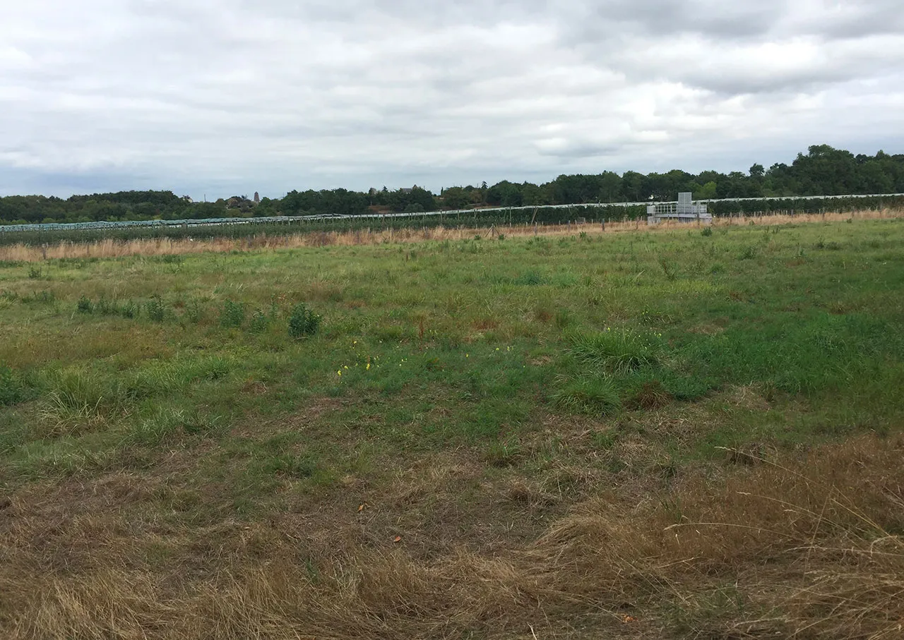 Saint Melaine - équilibre entre ville et campagne