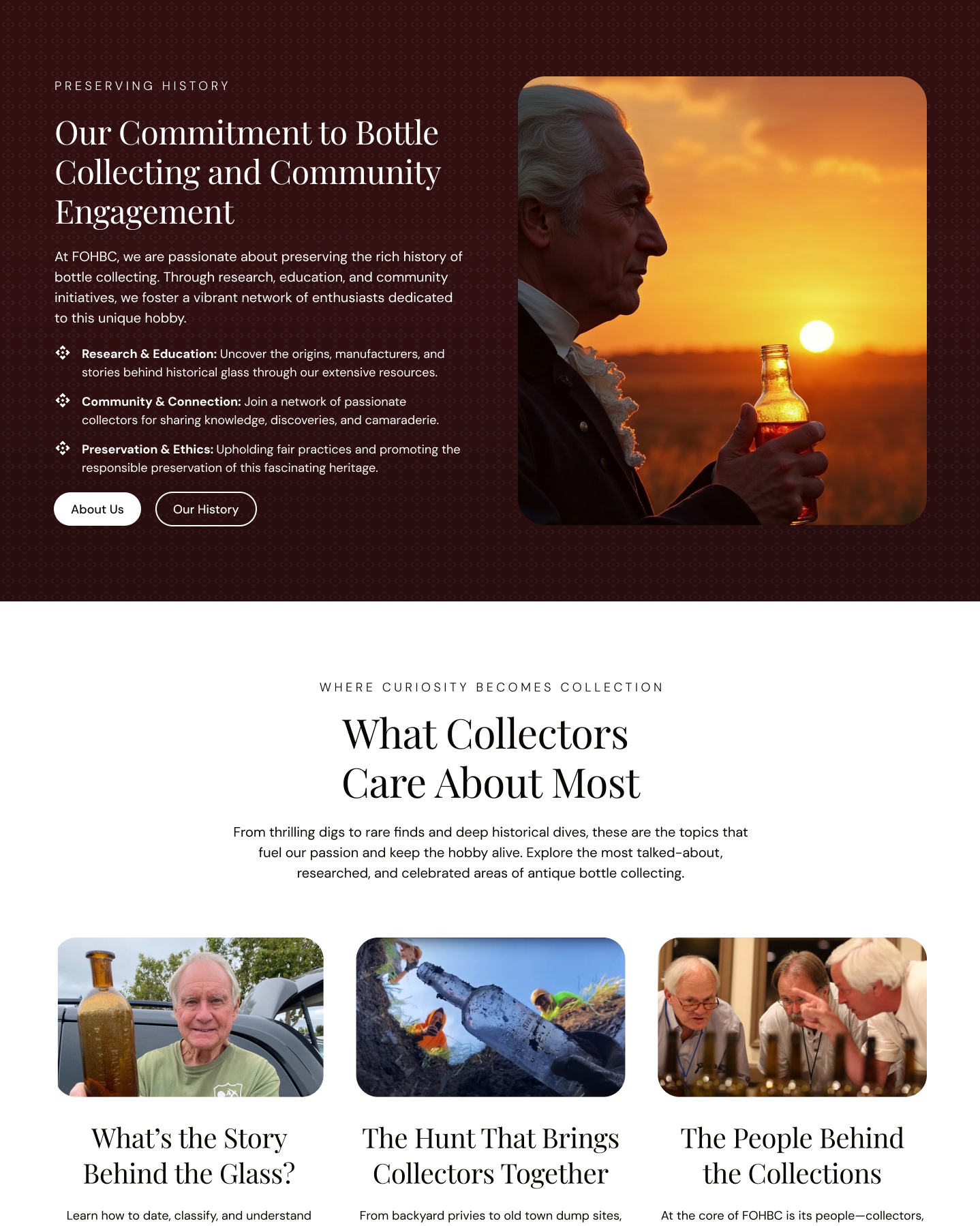An image of the FOHBC website pages