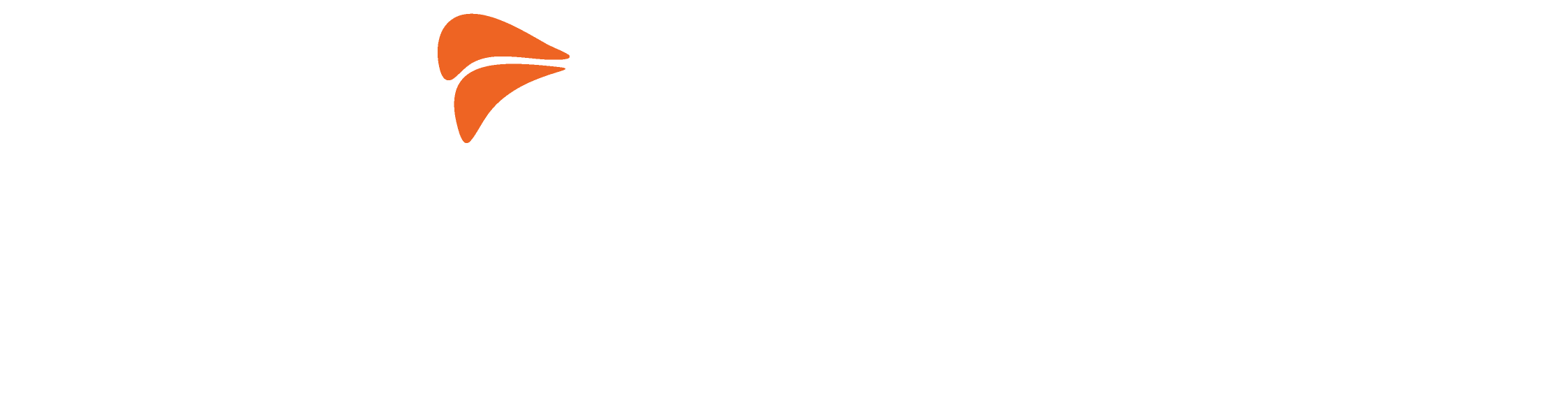 FairWeb Logo White Version