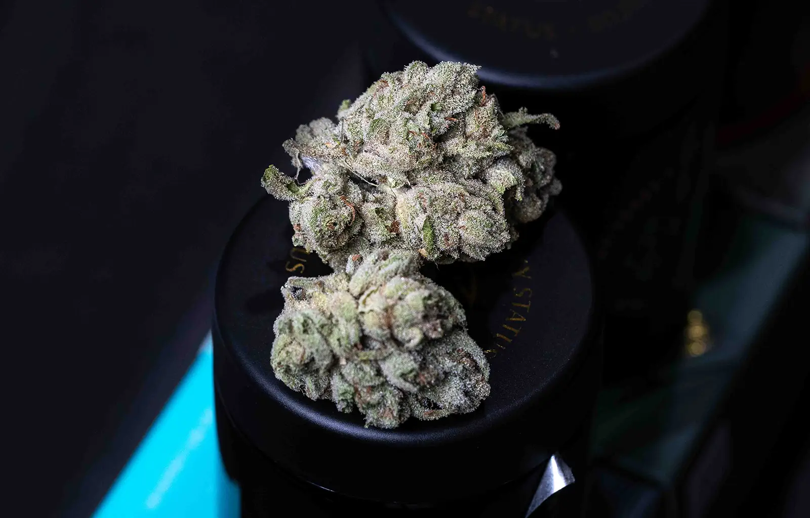 Cannabis flower with sticky highlights and sugar-like crystals.
