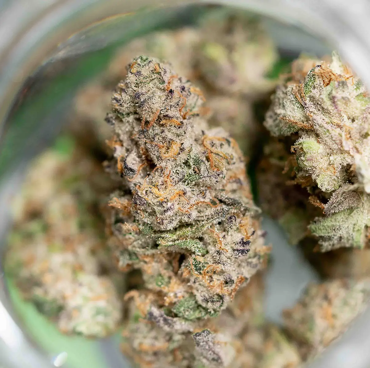 Cannabis weed flower, tri-combs and 3.5 grams. Beautiful flower