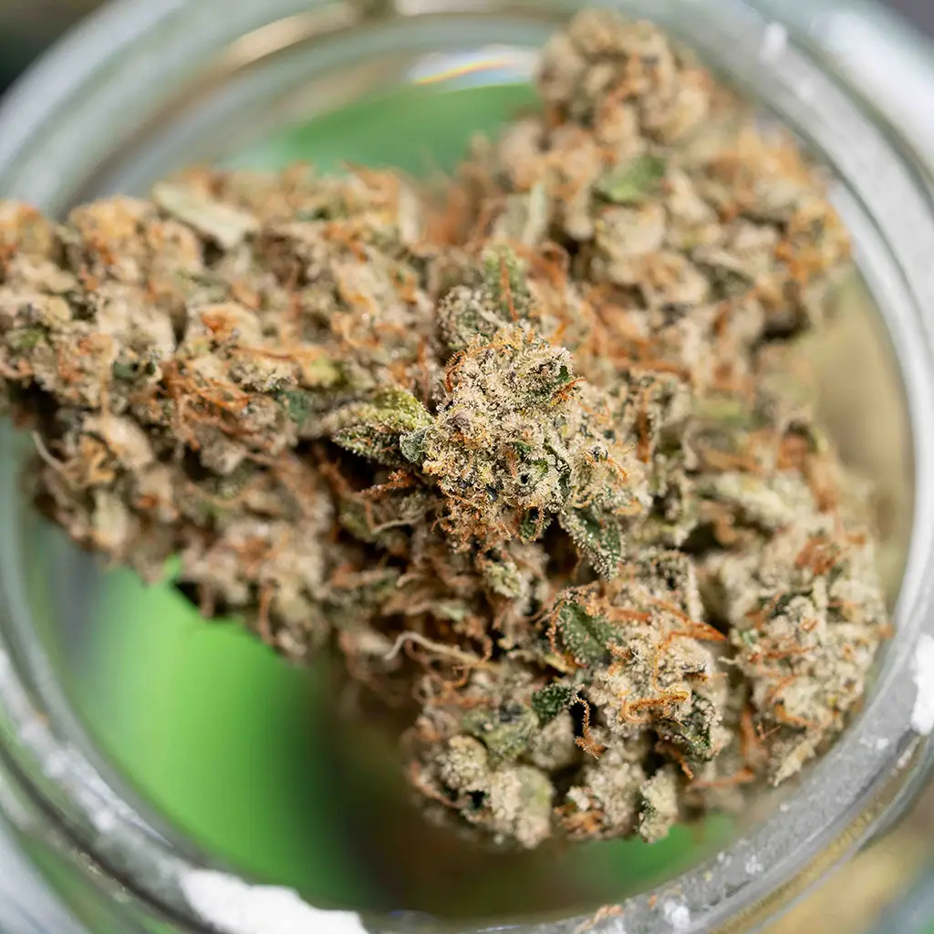 Top-down view of beautiful sticky cannabis buds.