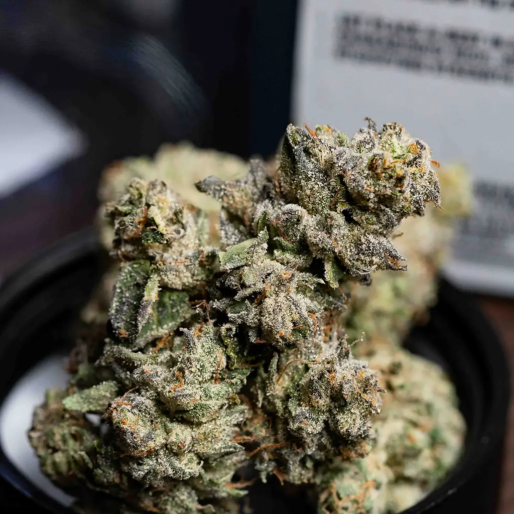 Close-up of frosty green bud with orange pistils.
