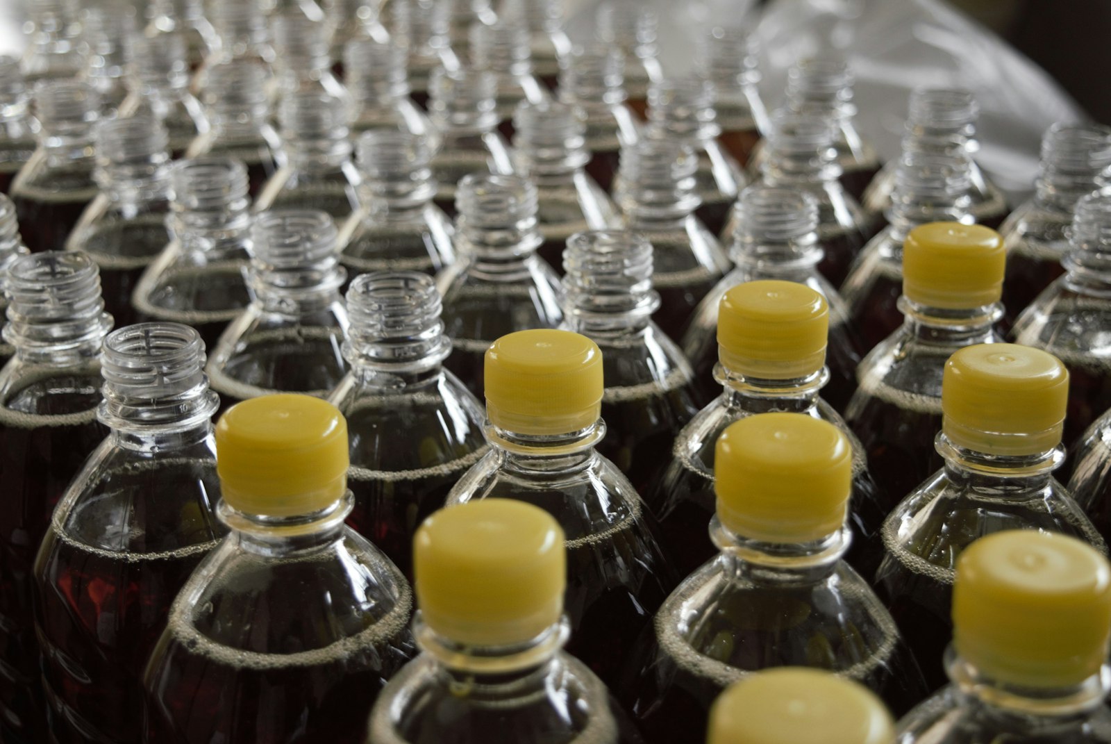Assorted plastic bottles in different shapes and sizes