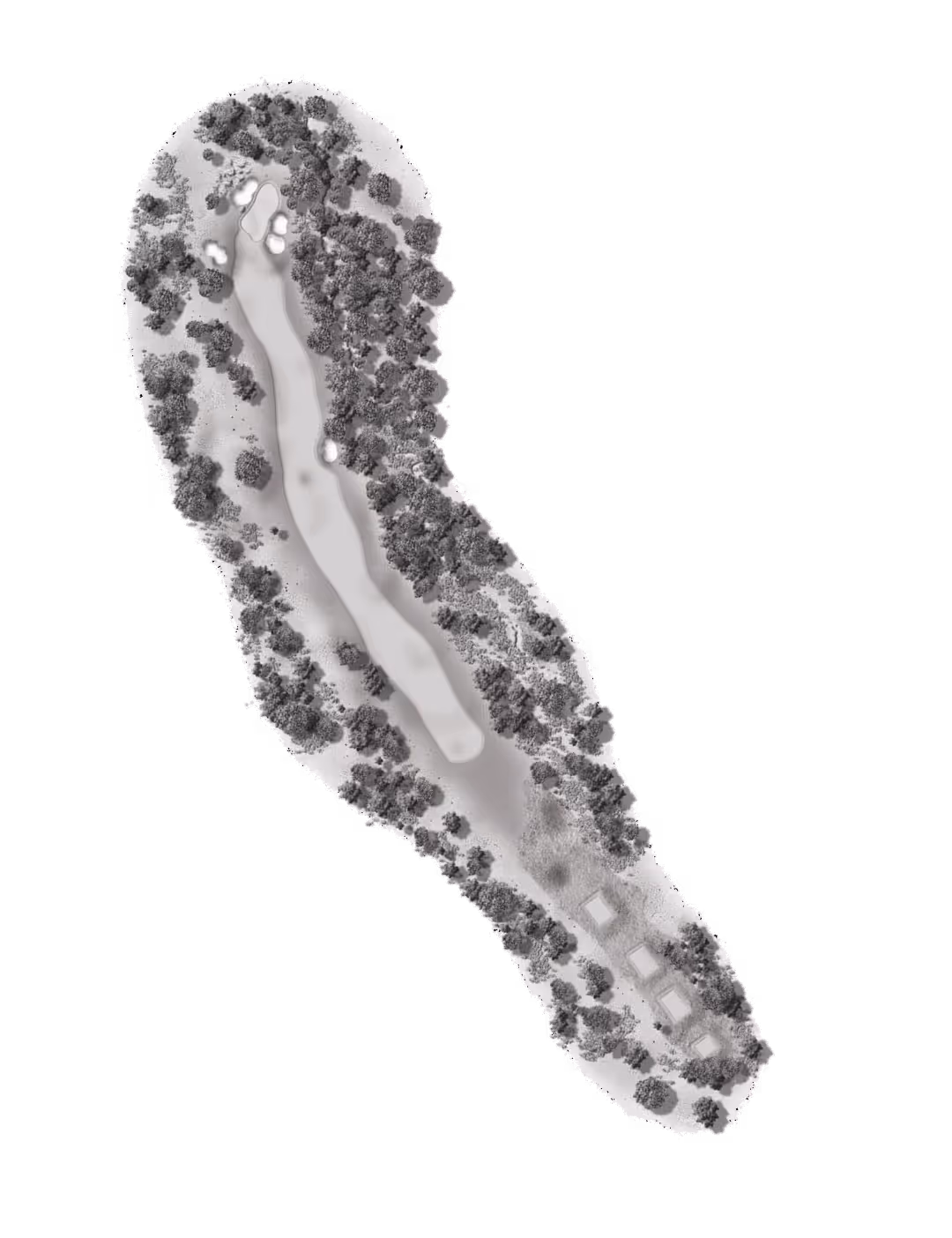 Top-down view of a golf hole layout showing a narrow fairway bordered by dense trees and several sand bunkers near the green.
