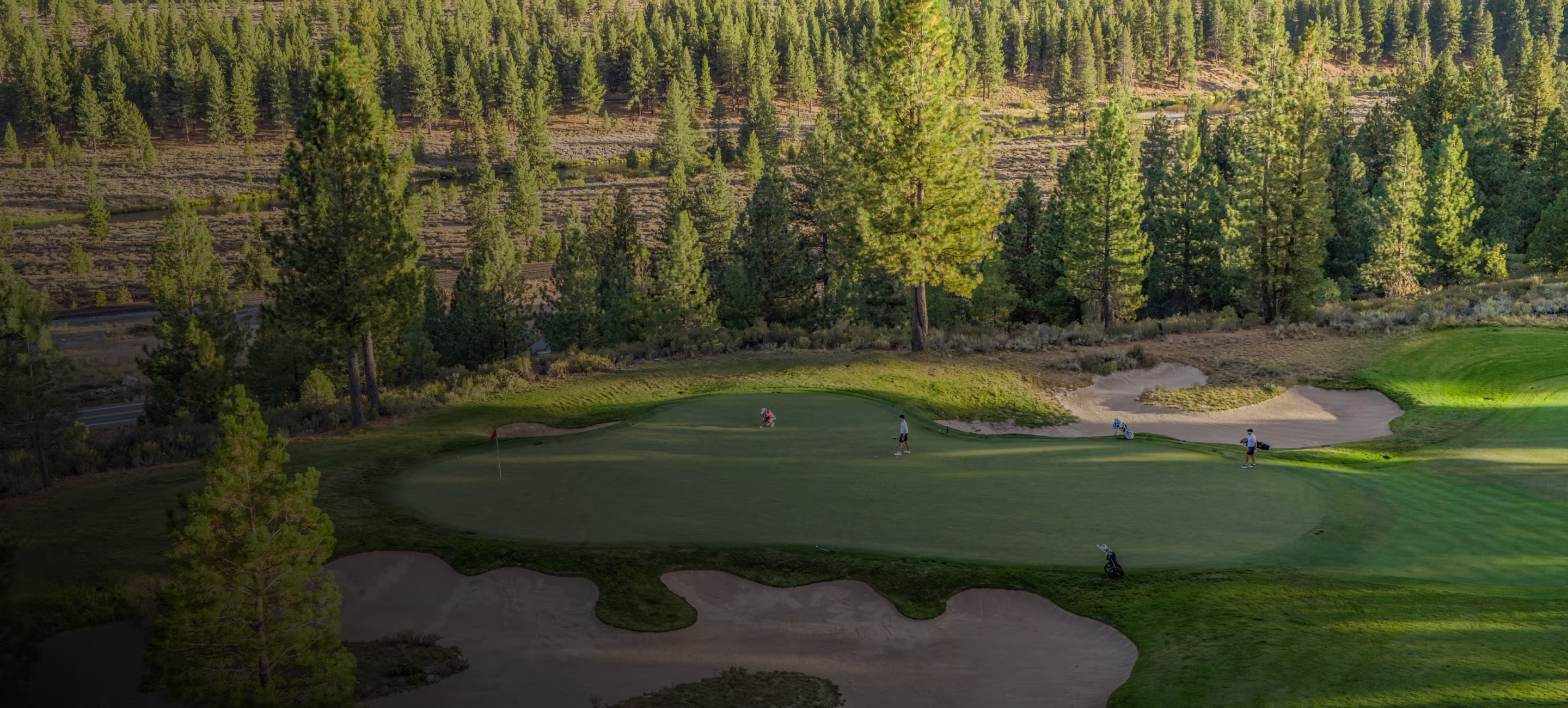 A golf course green surrounded by sand bunkers and tall pine trees with three golfers playing during sunset.