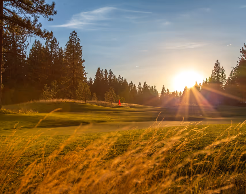 Golf course flag on green with sun setting behind pine trees and tall grass in the foreground.
