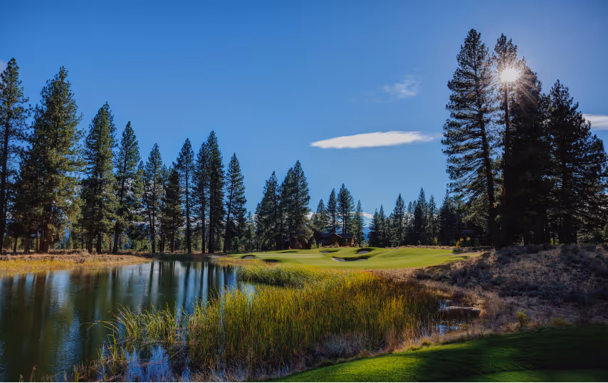 Sunny golf course with a pond, tall pine trees, and a clear blue sky.