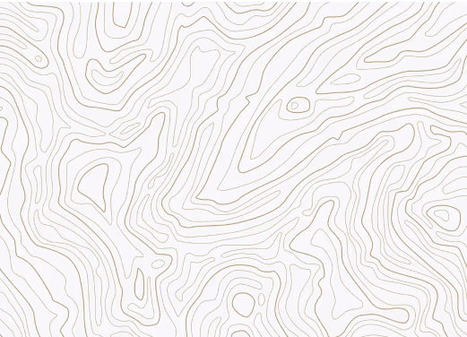 Abstract topographic contour lines pattern in light beige on white background.