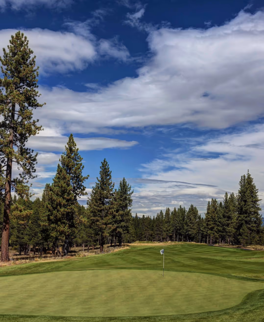 Golf course green with flagstick surrounded by tall pine trees under a partly cloudy blue sky.