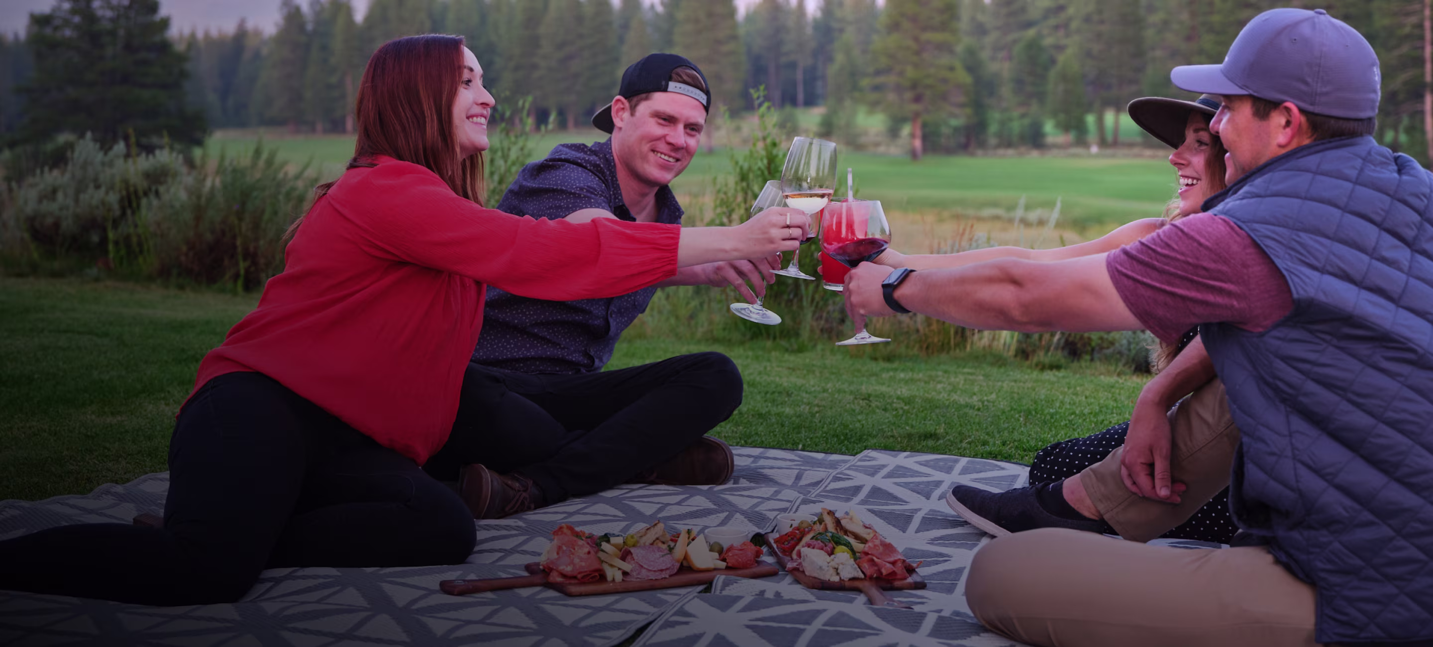 Four people sitting on a blanket outdoors clinking glasses filled with wine and cocktails, with food platters in front of them and trees in the background.