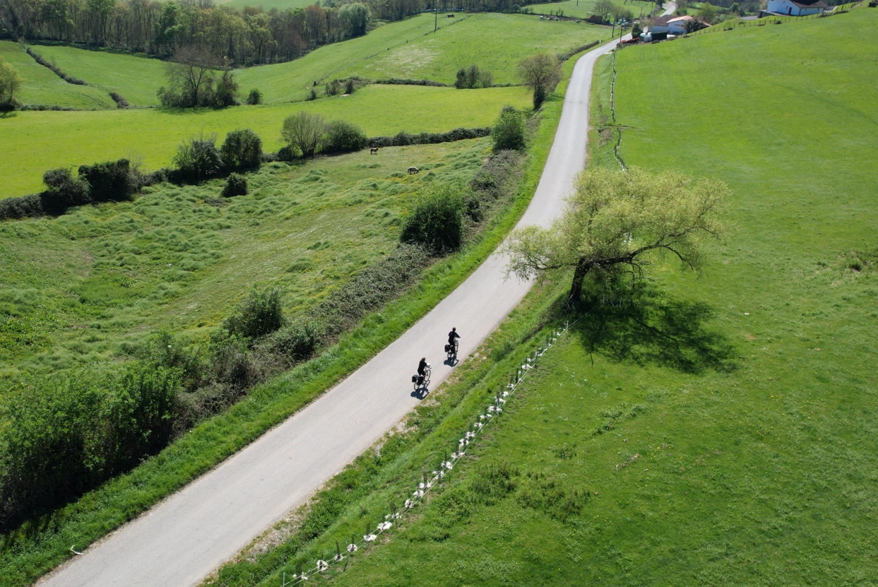 Deux cyclistes pédalent sur une route sinueuse entourée de champs verts et d'arbres.
Séjours à vélo clé en main de The Family Bike.