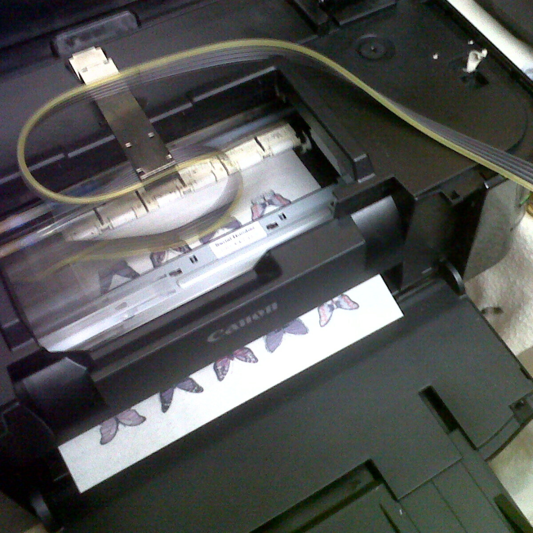 Edible Butterflies being printed on our first edible printer. 