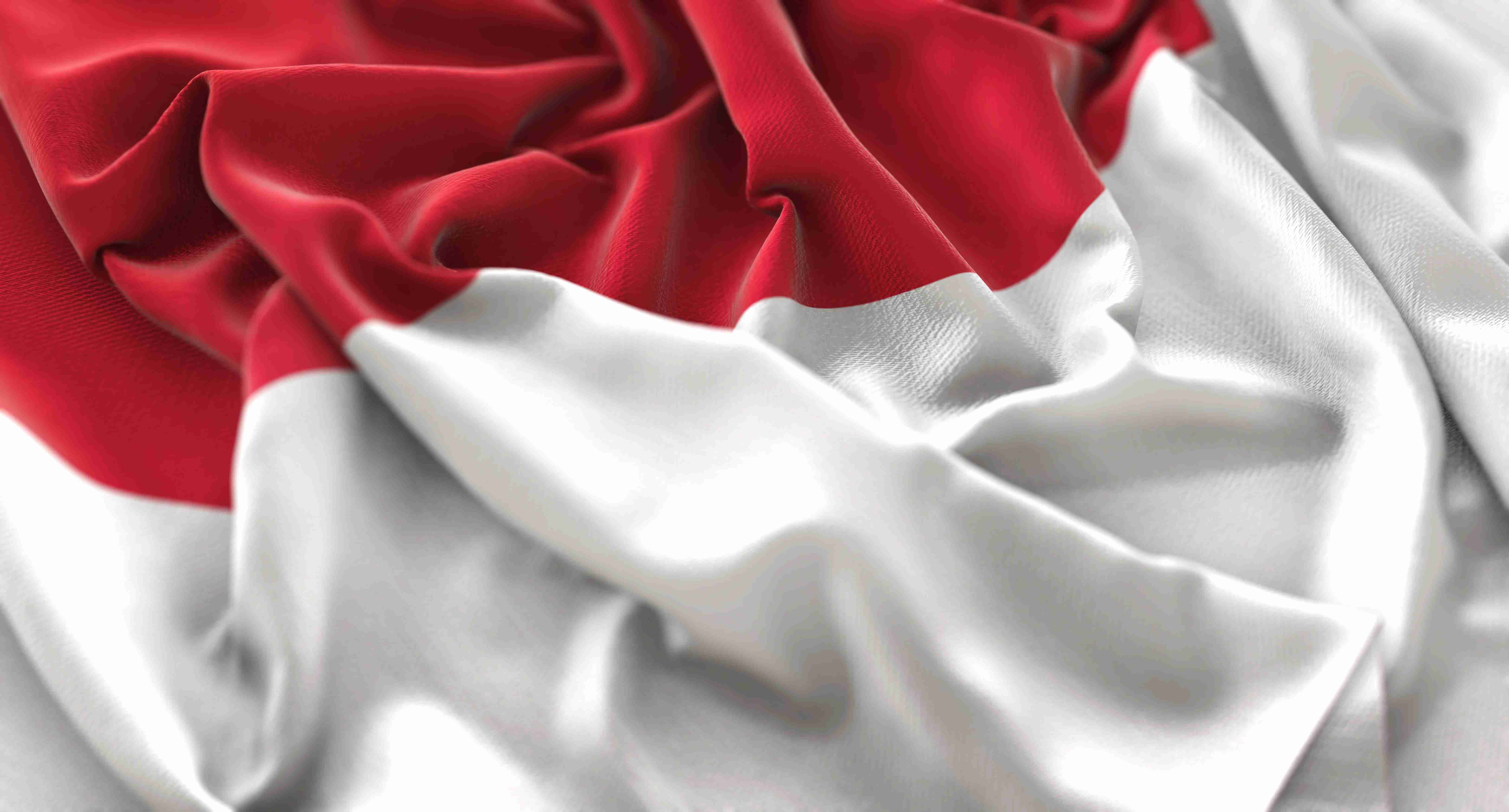 Tookitaki Helped Indonesian Market with Country's FATF Membership