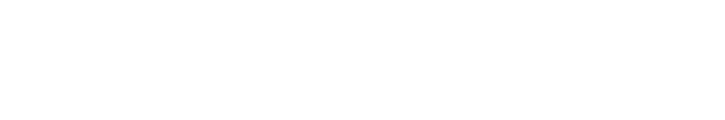 Shopify Partner
