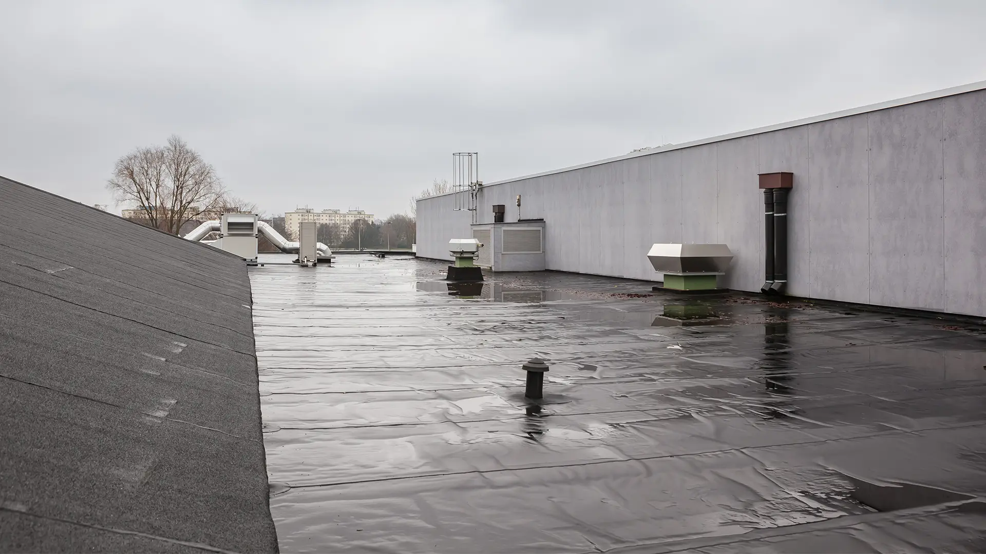 new commercial roof in Florida
