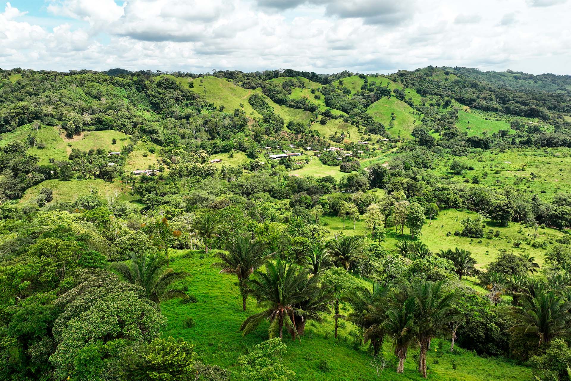 Vista aérea de la cuenca del Canal con colinas verdes, árboles y zonas habitadas, reflejando el equilibrio entre desarrollo y conservación.
