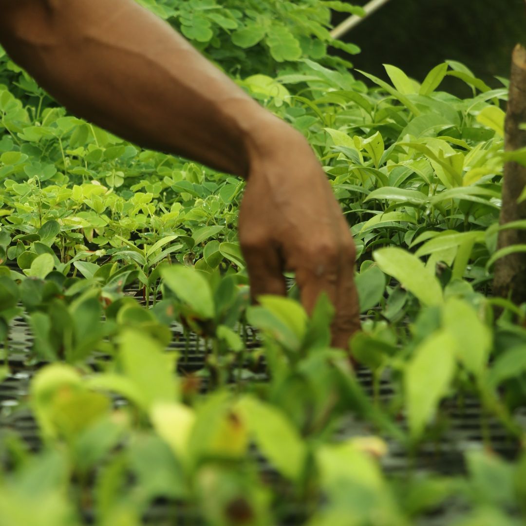 Taller comunitario con habitantes de la cuenca de Río Indio, participando en una presentación sobre desarrollo sostenible.