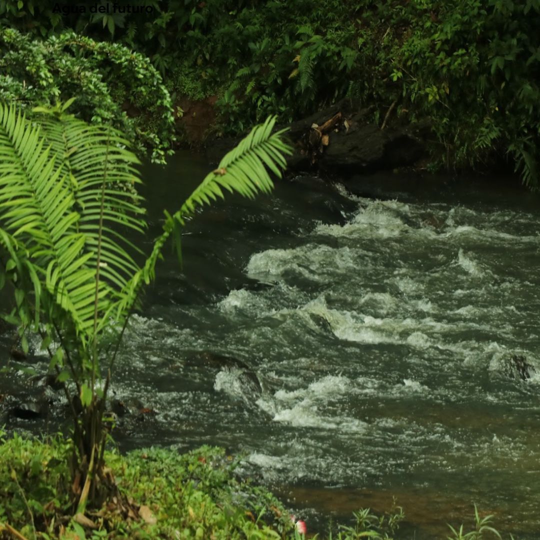 Vista aérea de la Cuenca del Canal de Panamá, afectada por condiciones climáticas extremas.