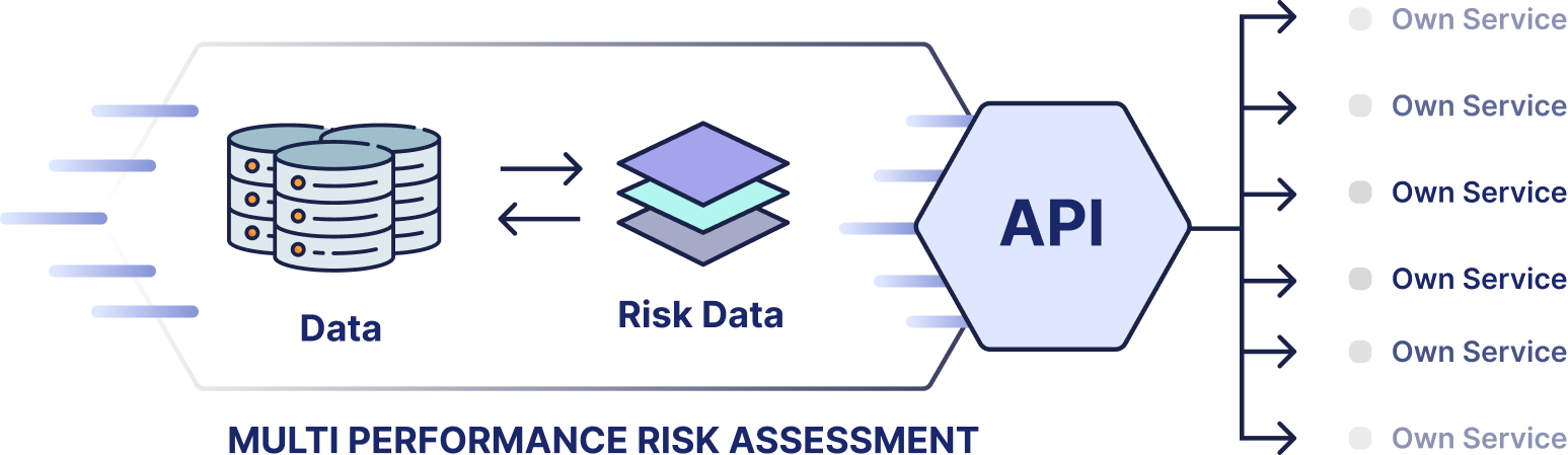 A technical diagram titled "Multi Performance Risk Assessment" showing risk data flowing through an API to multiple "Owned Service" modules. The illustration is related to Rapid by Quarticle.