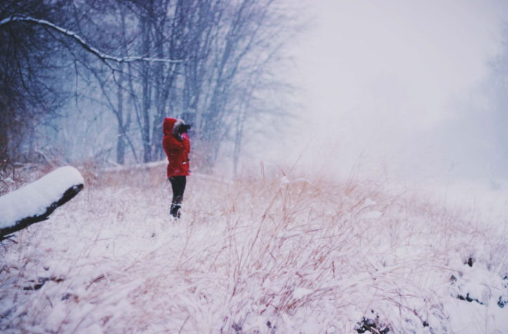 What to do at Holiday Time