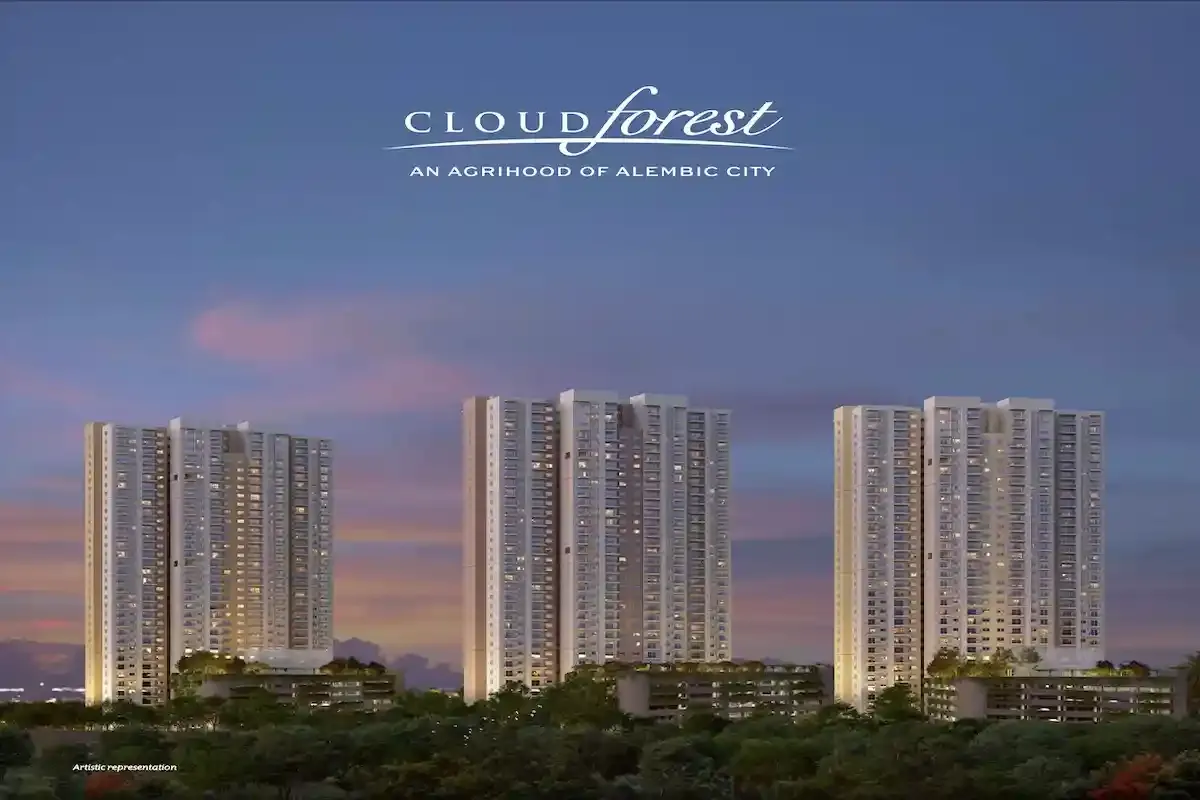 elevation - alembic-cloud-forest