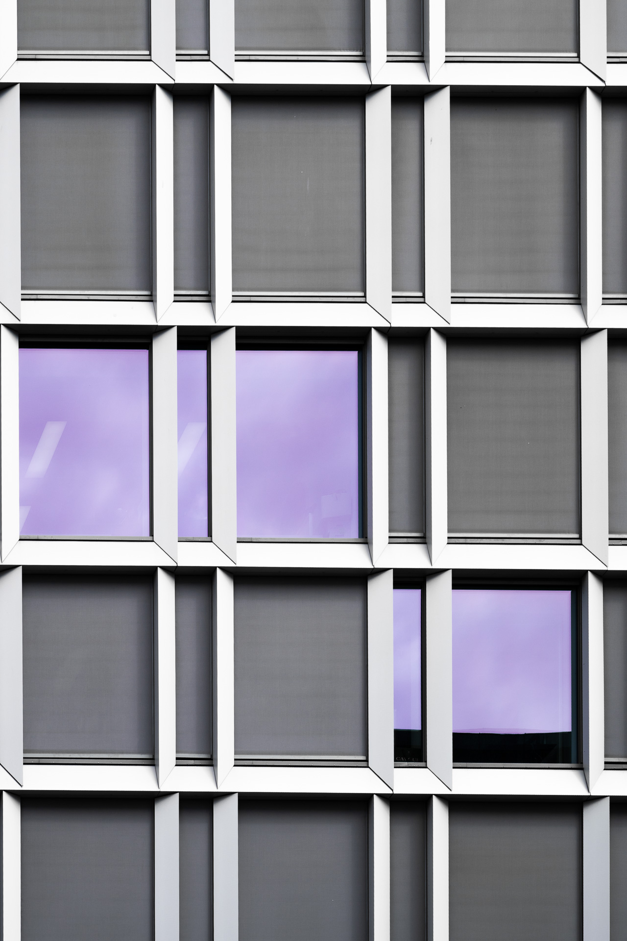 purple reflections 4