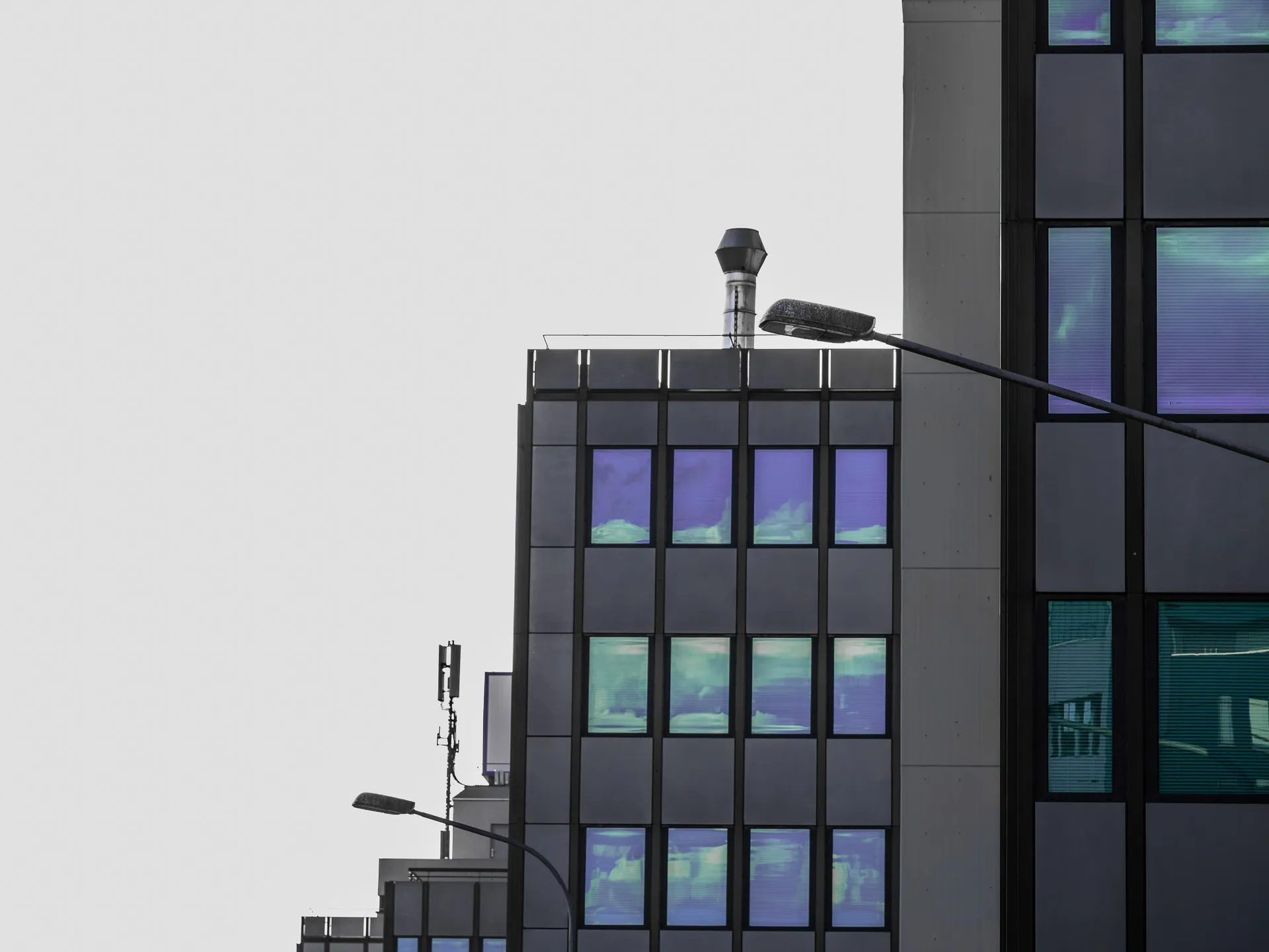 purple reflections 1