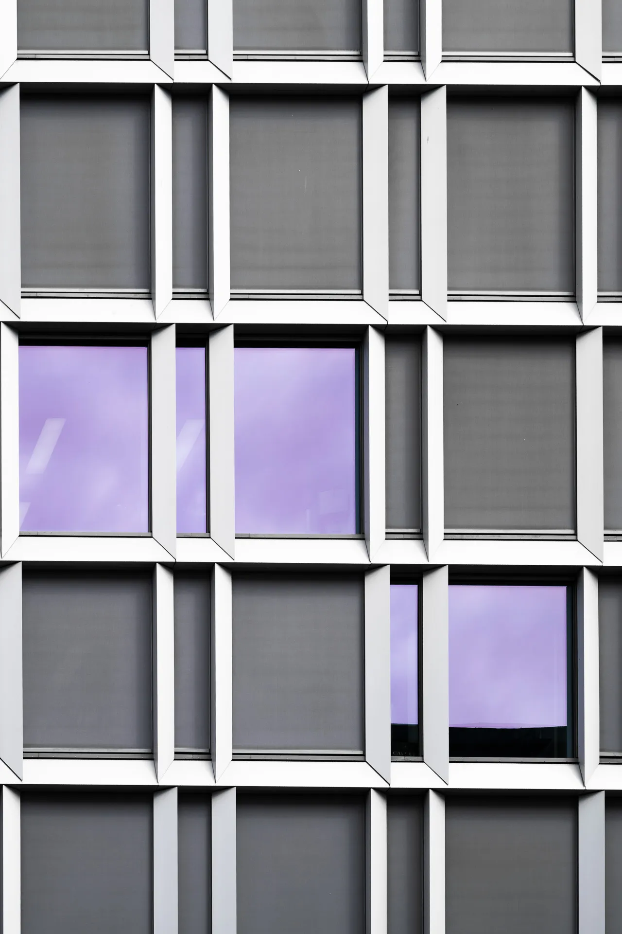 purple reflections 4