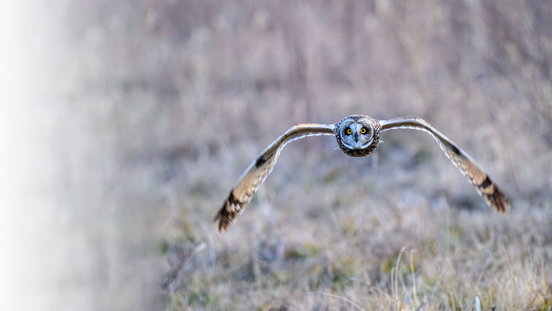 16th Annual Nature Photo Contest Winners