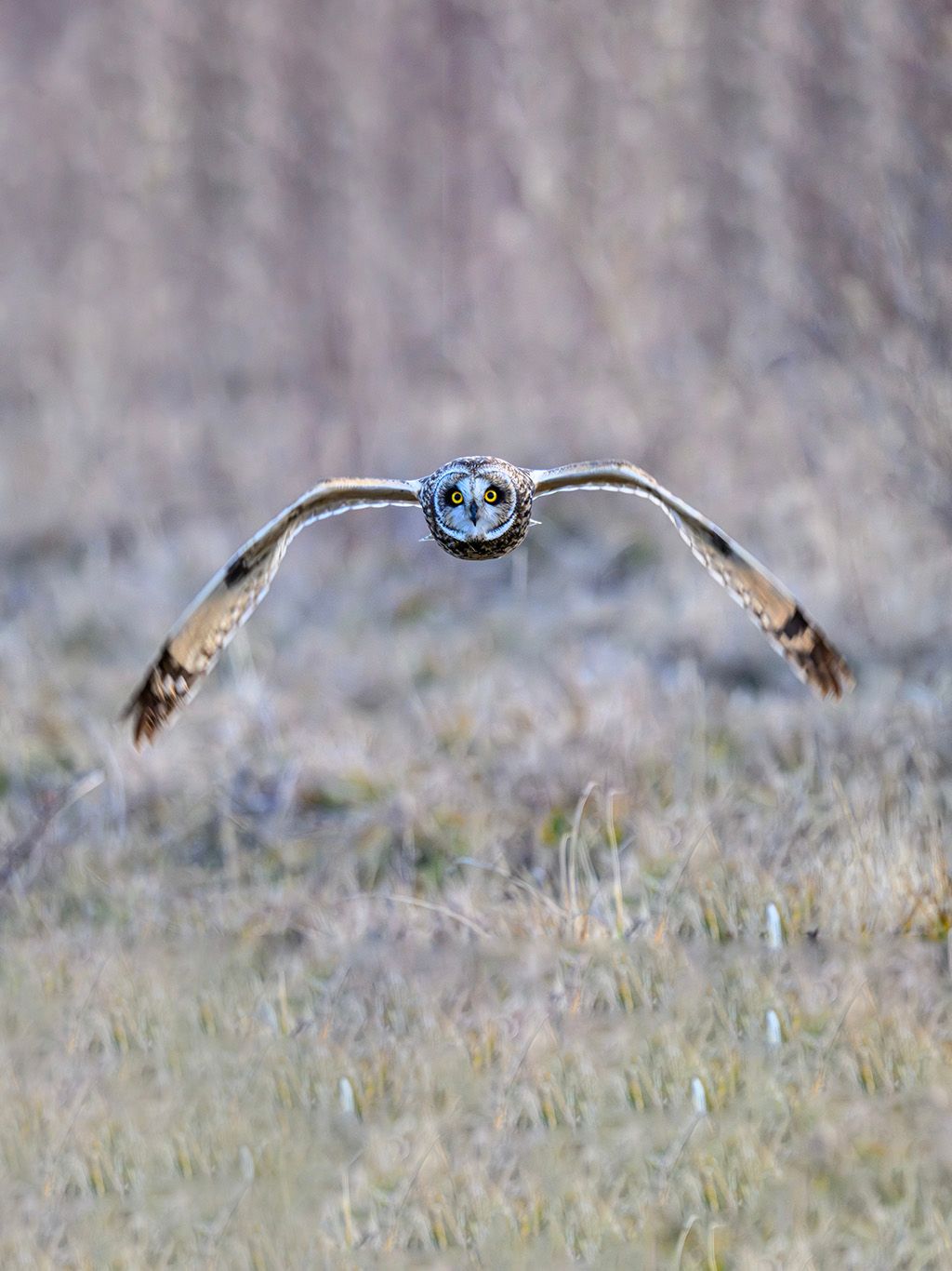 16th Annual Nature Photo Contest Winners