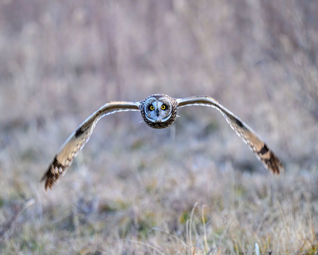 16th Annual Nature Photo Contest Winners