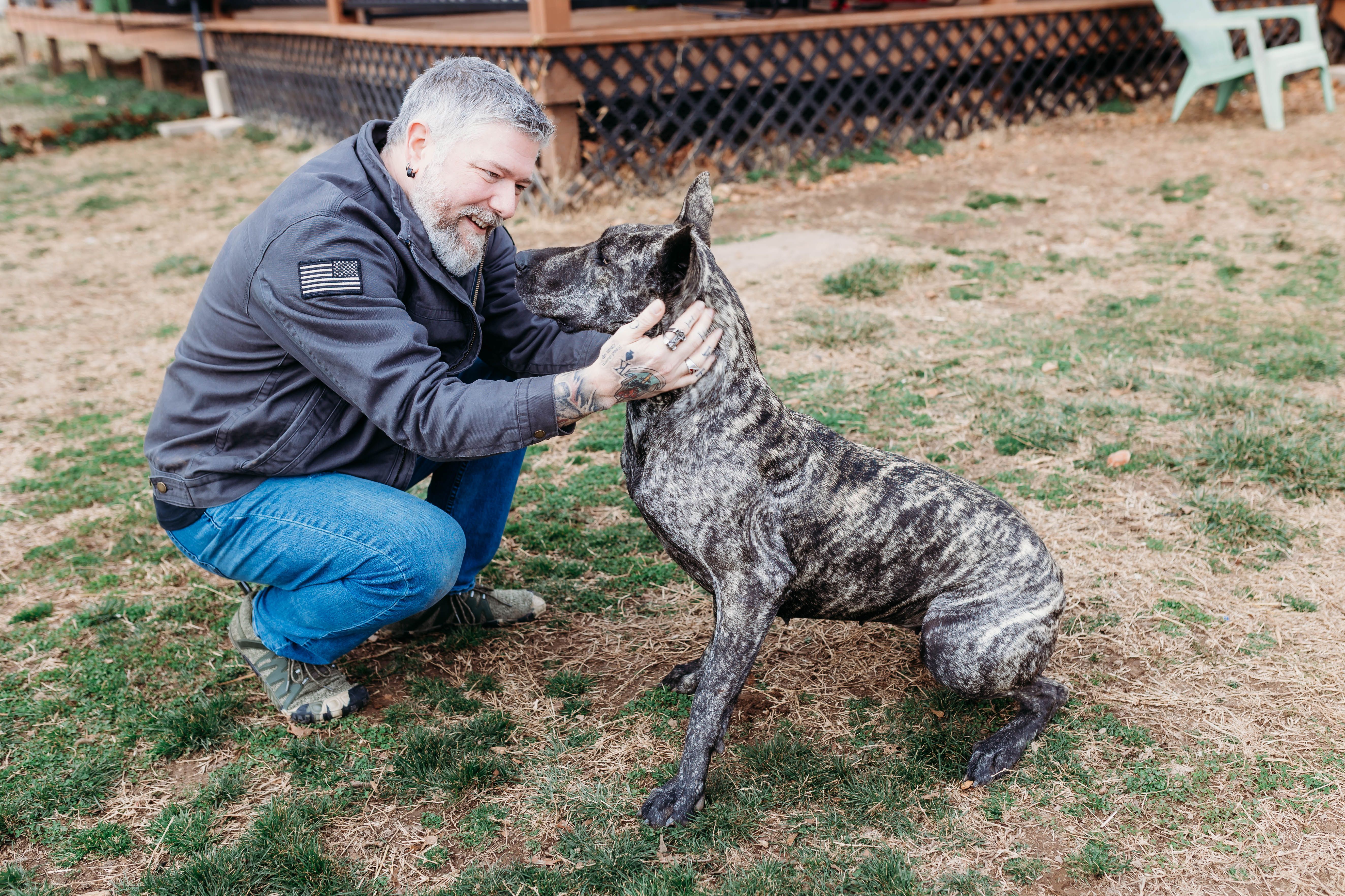 A Dog’s Dream Finds Forever Homes for Retired Breeder Dogs
