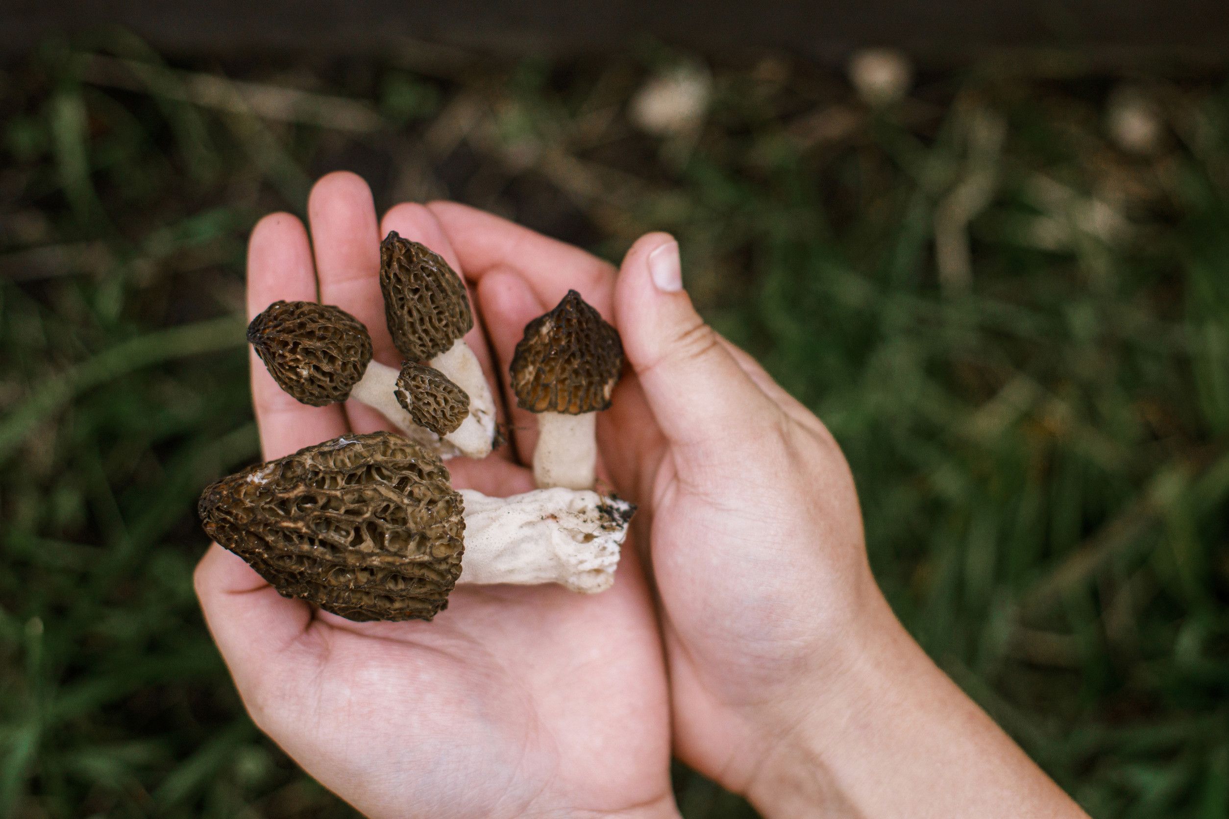 The Great Outdoors: Pass It On