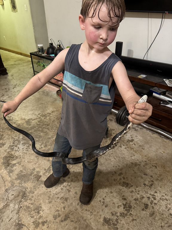 Grove’s Young Critter Catcher Chases Junior Ranger Dream 