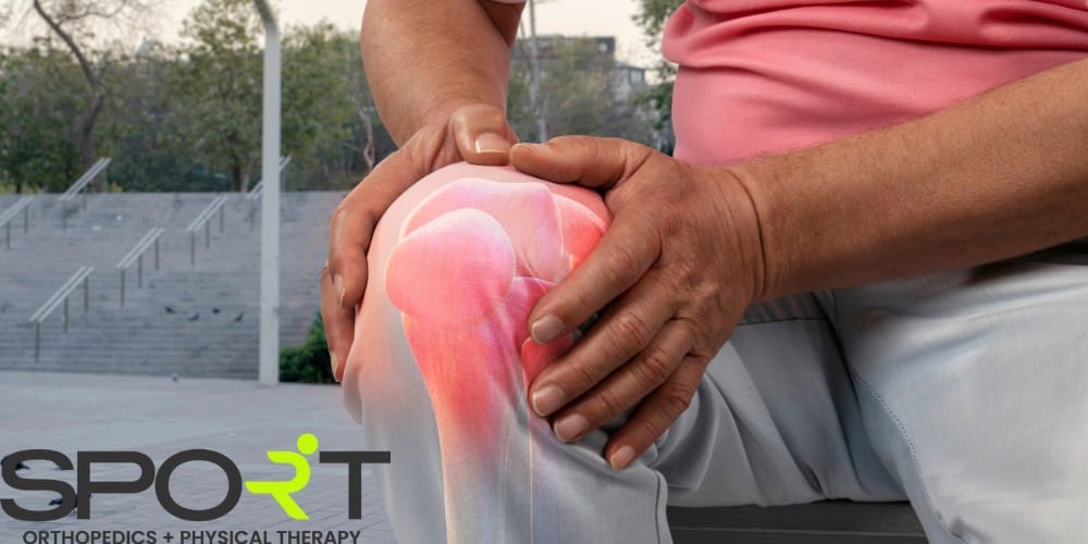 inside of knee pain