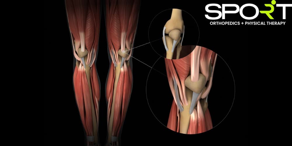 inner knee pain
