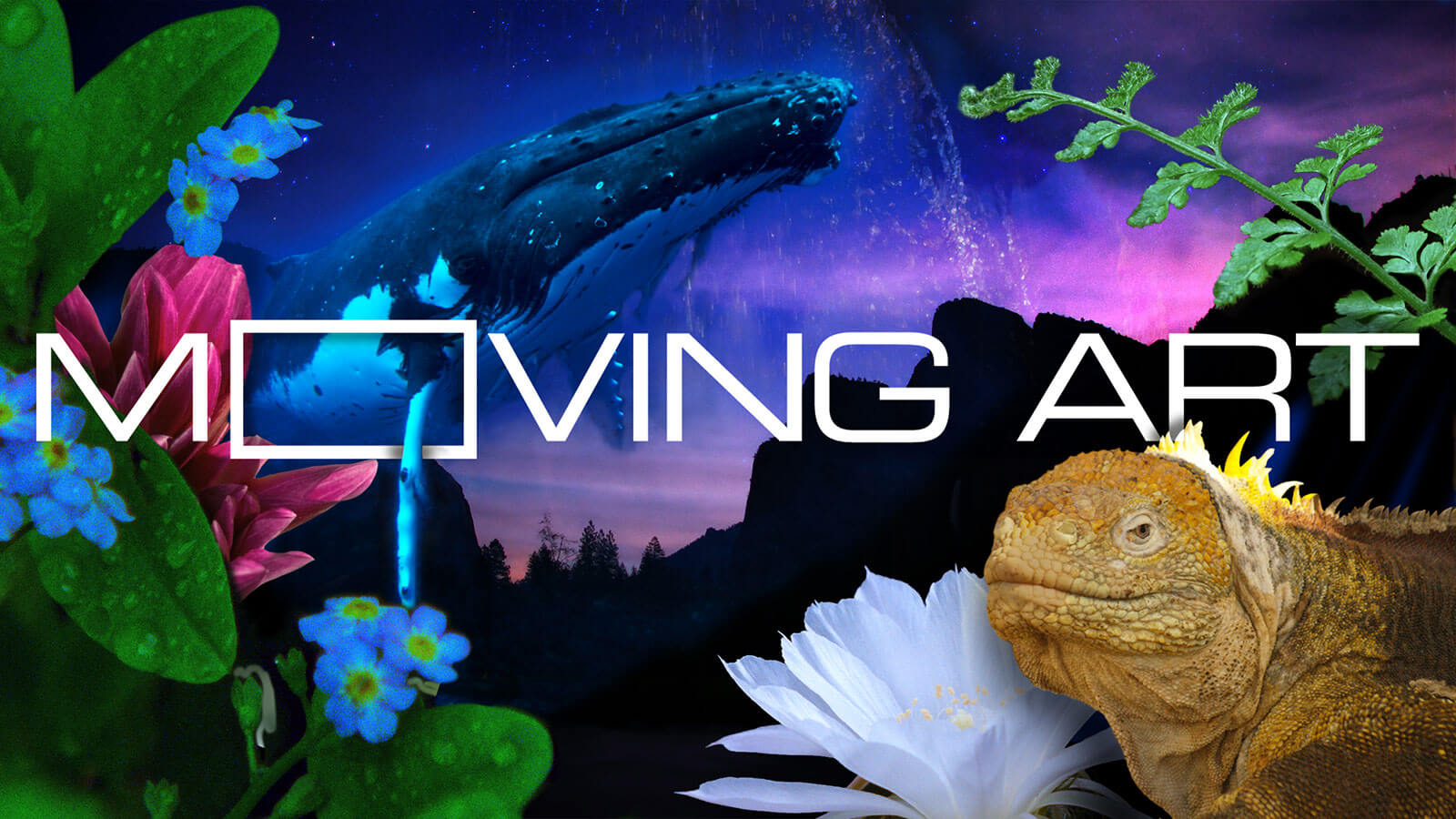 Moving Art Thumbnail Image
